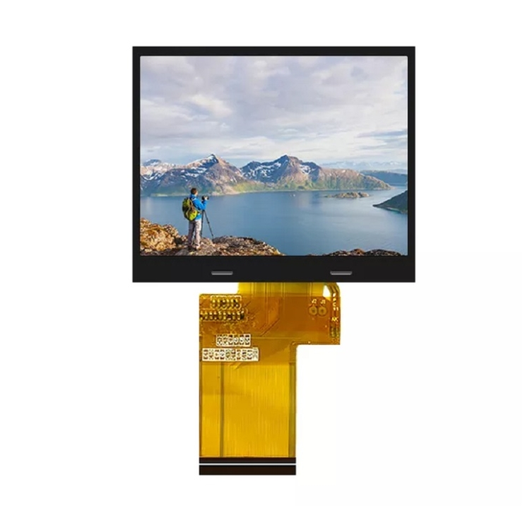 3.95 ইঞ্চি 480x480 টিএফটি ডিসপ্লে